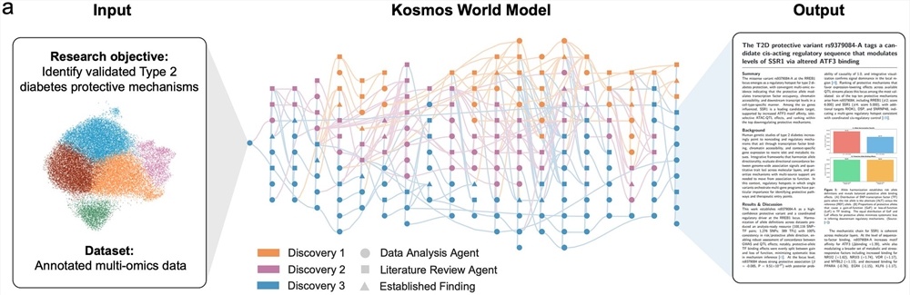 Kosmos:AI科学家 一次运行,可以完成人类科学家约6个月的科研工作量Kosmos 能够:- 阅.jpg Kosmos:AI科学家 一次运行,可以完成人类科学家约6个月的科研工作量Kosmos 能够:- 阅.jpg